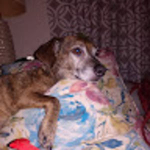 Meet your Posher, Linda